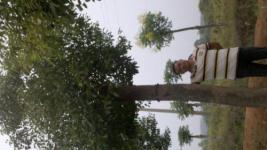 荊州市農林牧漁產業發展現狀與前景